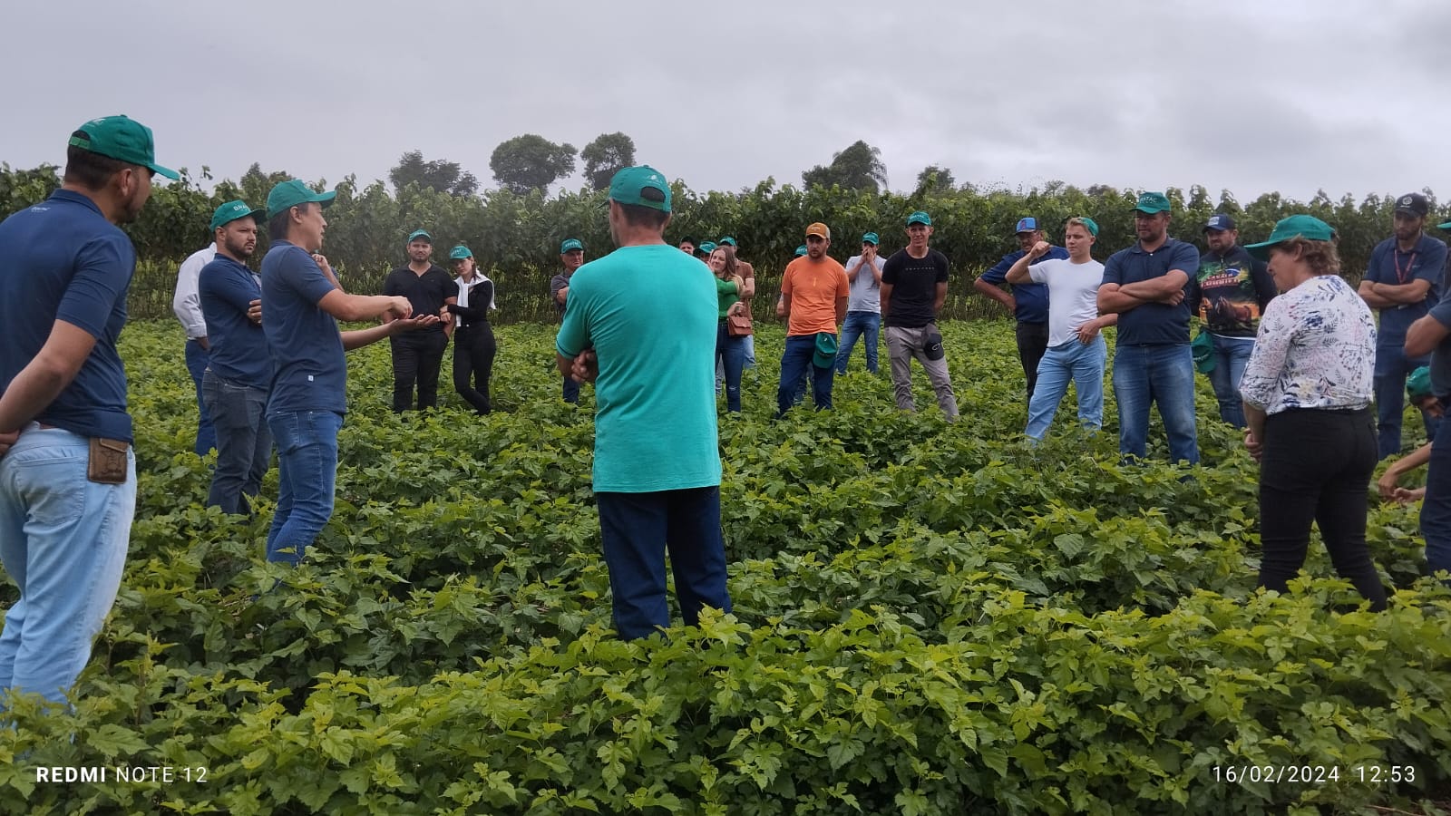 Dia de Campo apresenta novas oportunidades para produtores de Irati