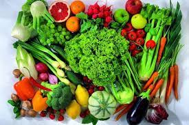 Conferência Municipal de Segurança Alimentar discute erradicação da fome